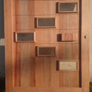 Pivot Door 1