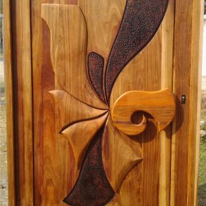Pivot Door 11
