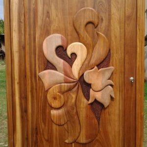 Pivot Door 5
